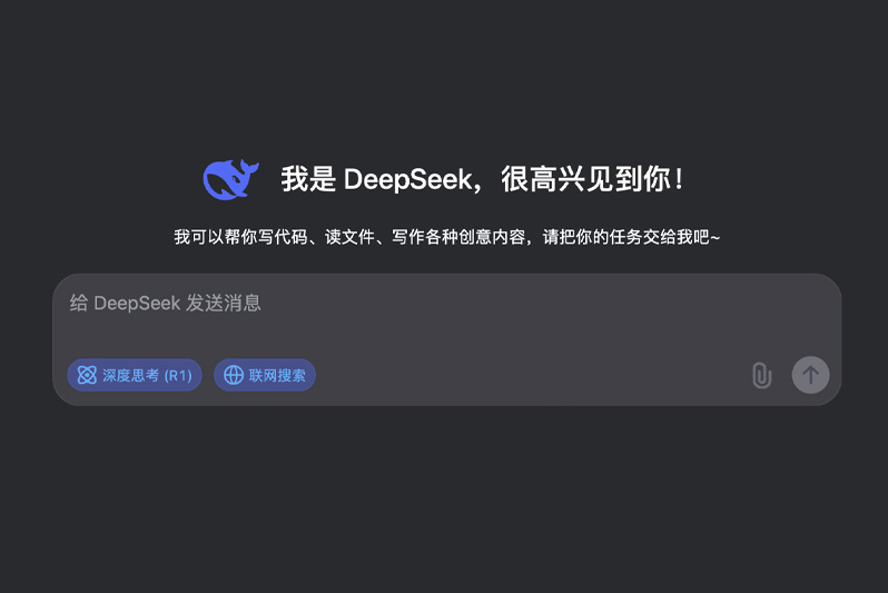 DeepSeek大模型